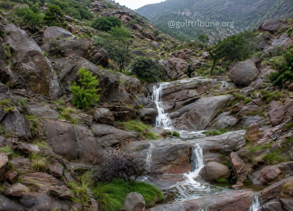 6 - Gulf Tribune Small cascading waterfall flowing through a rocky mountain landscape with green shrubs and grasses around the stones.