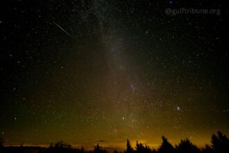 Perseids Meteor Shower Dazzles UAE Stargazers Across Sharjah’s Mleiha Desert