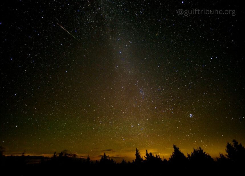 Perseids Meteor Shower Dazzles UAE Stargazers Across Sharjah’s Mleiha Desert