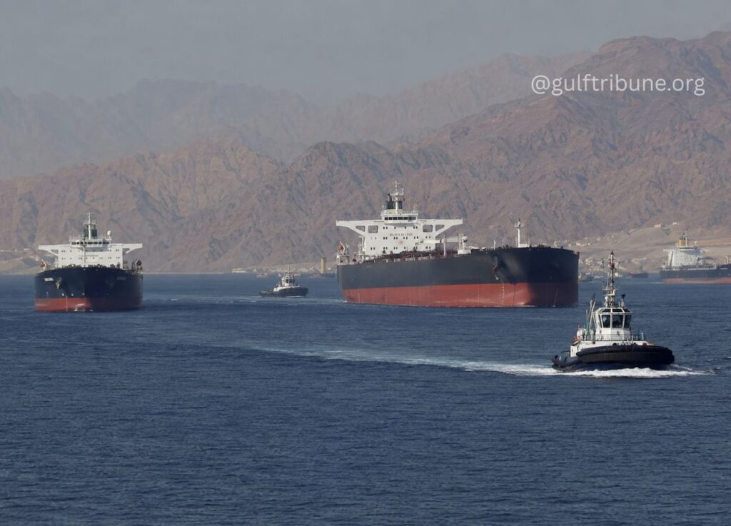Tugboat paddling in front of three large cargo ships near a rocky, desert coastline as mountains loom in the background]