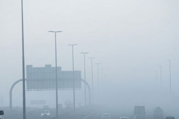 Atmospheric Cooling and High Humidity Trigger Early Morning Fog Across Dubai and Abu Dhabi